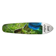 just chillin skateboard