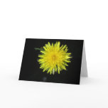 Just Dandy Greeting Card