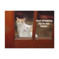 Just Dropping By