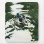 "Just Ducky" by Iain Stewart Mousepads
