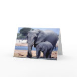JUST ELEPHANTS