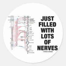 Just Filled With Lots Of Nerves (Autonomic Nerves) Round Sticker
