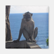 Just hangin' out... refrigerator magnet
