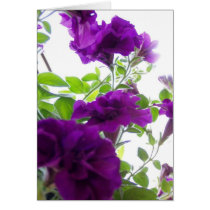 Just hanging around greeting card