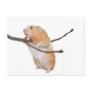 just hanging around post cards
