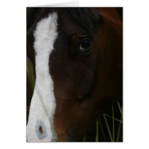 Just Horsin' Around cards