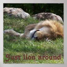 Just Lion Around Poster