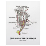 Just Look At Me In The Eye (Anatomical Humor) Letterhead Template
