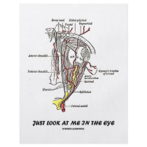 Just Look At Me In The Eye (Anatomical Humour)