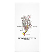 Just Look At Me In The Eye (Anatomical Humour)