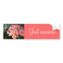 Just married coral geraniums bumper sticker