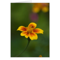 just myself greeting card