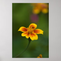 just myself posters