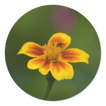 just myself round sticker