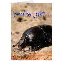 Just Not My Type -  Dung Beetle card