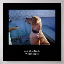Just One Duck Print