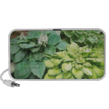 Just One More Hosta! Travel Speaker