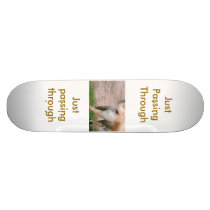 just passing through custom skate board