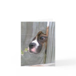 Just Peeking In Greeting Cards
