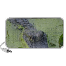 Just Pet Me(Org).tif Travelling Speakers