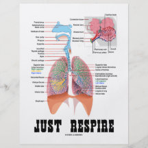 Just Respire Full Color Flyer