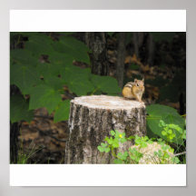 just resting on tree stump poster