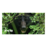 Just saying Hi! Photo Card
