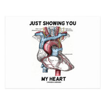 Just Showing You My Heart (Anatomical Heart) Post Cards