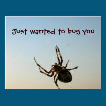 Just Wanted to Bug You postcards