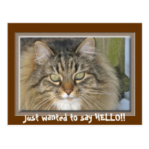 Just wanted to say HELLO!! Post Cards