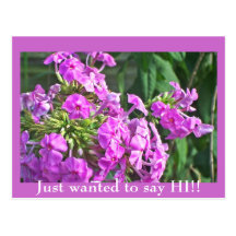 Just wanted to say HI!! Postcard