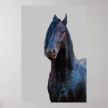 Juste étant un cheval affiche