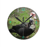 Juste un Qwack à temps