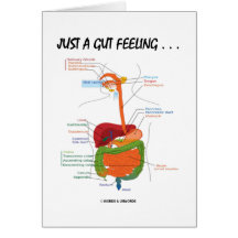 Juste un sentiment d'intestin… (Humour d'appareil  Cartes De Vœux