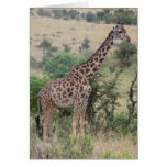 Juvenile Giraffe Card