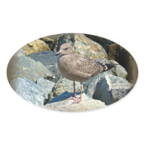 Juvenile Great Black-Backed Gull Oval Stickers