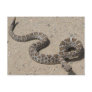 Juvenille Black RattleSnake Postcards
