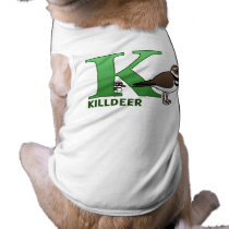 K is for Killdeer
