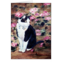 Kaboodles Cat Blank Card