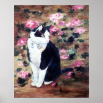 Kaboodles Cat Poster