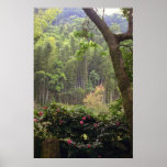 Kagoshima-OIN rose se garent, les arbres et les ro Affiche