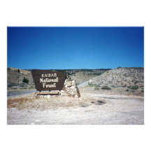 Kaibab National Forest Sign Custom Invites