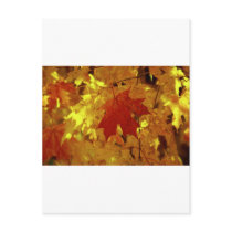 Kairos Fall Magic Post Card
