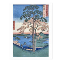 Kajikoyama Inaba Post Card