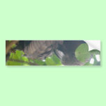 Kaka bumper stickers