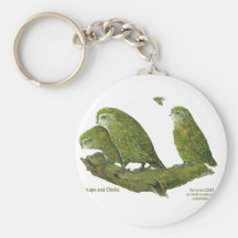 kakapo and chicks keychains