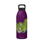 Kakapo Chicks Drinking Bottles
