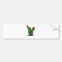 Kaktus cactus autoaufkleber