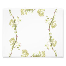 Kaleidoscope design made with flower stems art photo