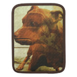 KALI THOUGHTS , RIP KALI iPad SLEEVE